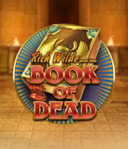 Enter the thrilling world of Book of Dead Slot by Play'n GO, showcasing vivid graphics of Rich Wilde’s adventurous journey through ancient Egyptian tombs and artifacts. Uncover lost riches with engaging mechanics like free spins, expanding symbols, and a gamble option. Ideal for adventure seekers with a desire for unearthing secrets.